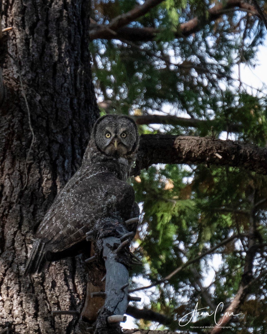 When you least expect&nbsp;it!