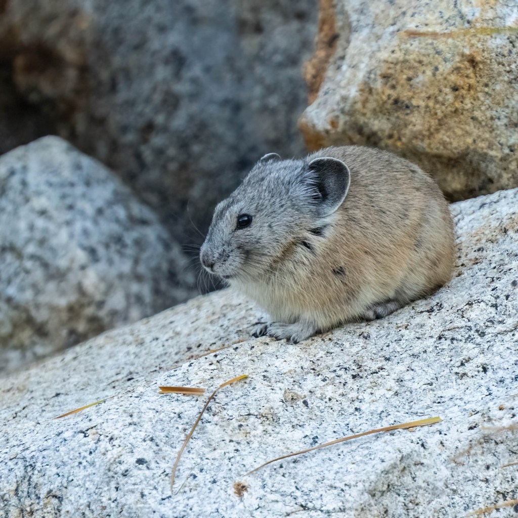 I spy with my little&nbsp;eye..