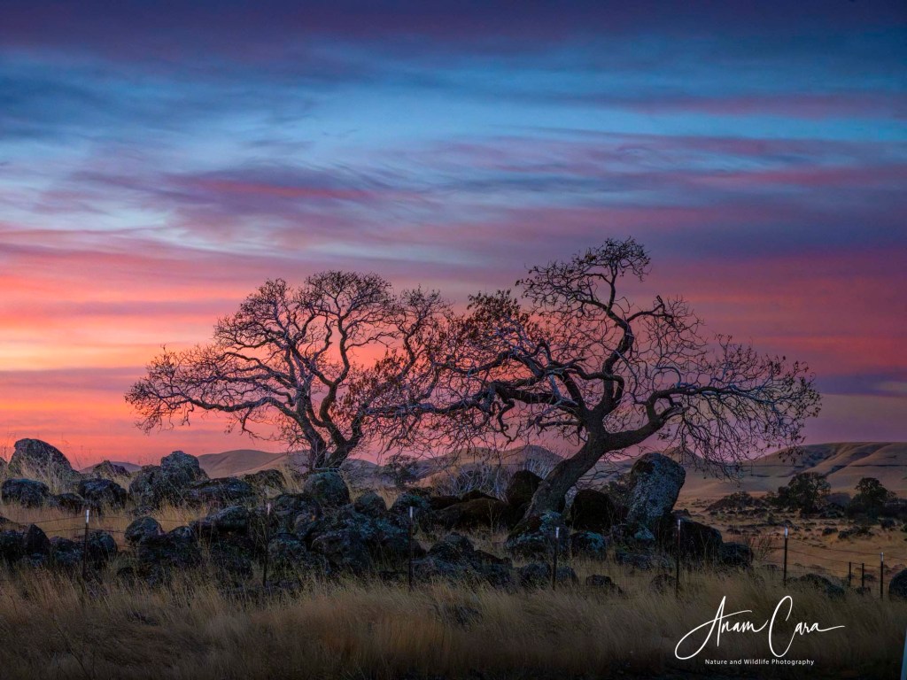 2024 – A Few of My Favorite Images&nbsp;❤️